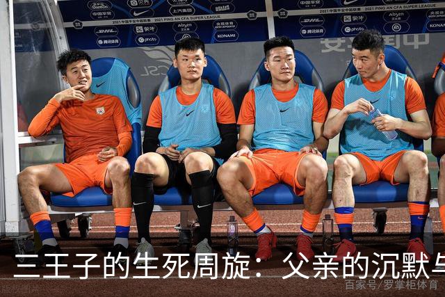 三王子的生死周旋：父亲的沉默与离散的家族