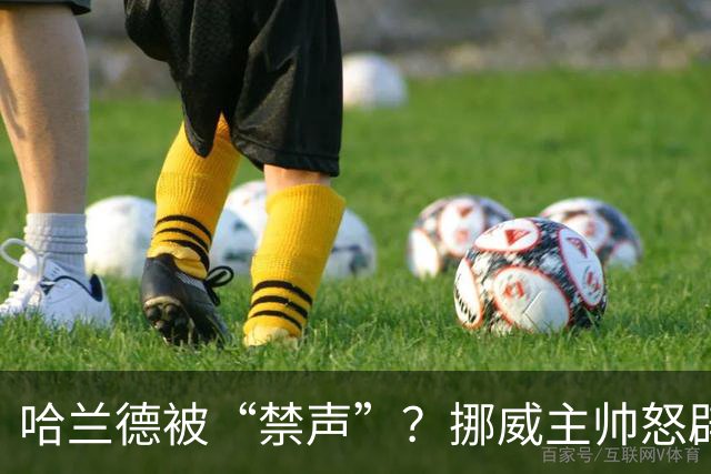 哈兰德被“禁声”？挪威主帅怒辟谣，真相让人捧腹大笑
