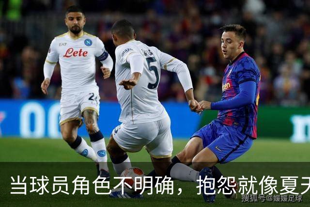 当球员角色不明确，抱怨就像夏天的蚊子一样烦人！