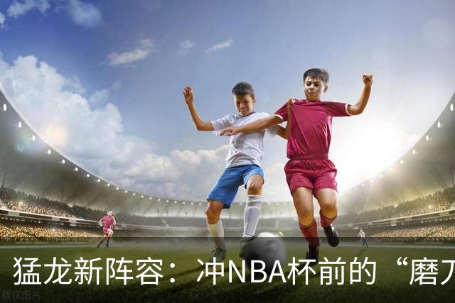 猛龙新阵容：冲NBA杯前的“磨刀霍霍